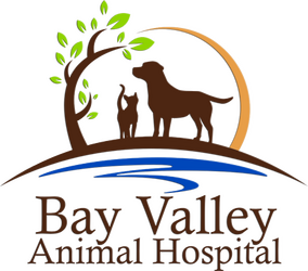 Bay Valley Animal Hospital